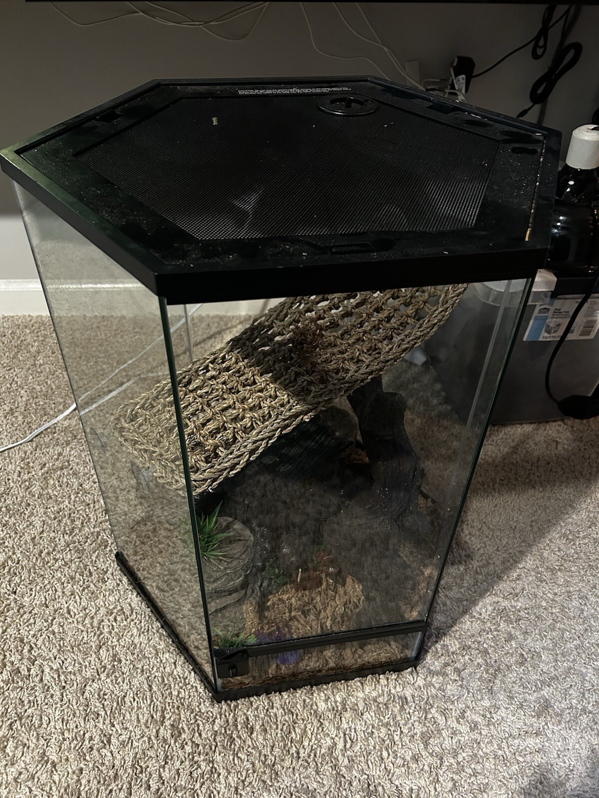Picture 3 of 3