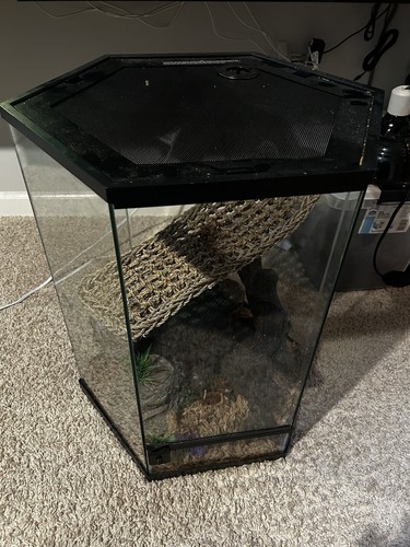 Hexagon Reptile Enclosure/Terrarium - Picture 3 of 3
