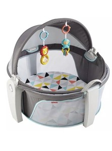 fisher price on the go baby dome grey