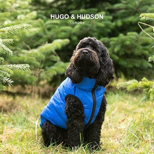 DOG COAT HUGO & HUDSON Blue & Navy DOG PUFFER VEST JACKET Small 30cm NEW WINTER - Picture 5 of 5