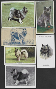 6 Different Vintage KEESHOND Tobacco/Cigarette Dog Cards