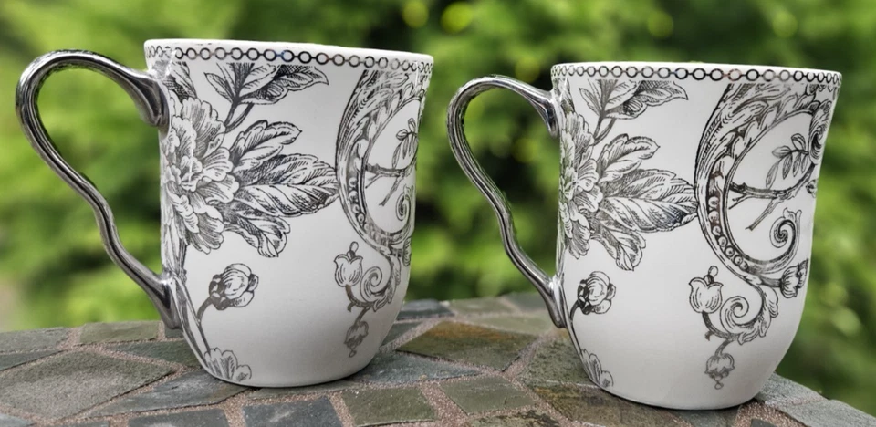 2 件老式 222 第 5 (PTS) 阿德莱德电镀银铂金手柄鸟杯 — 第 2/4 张图片