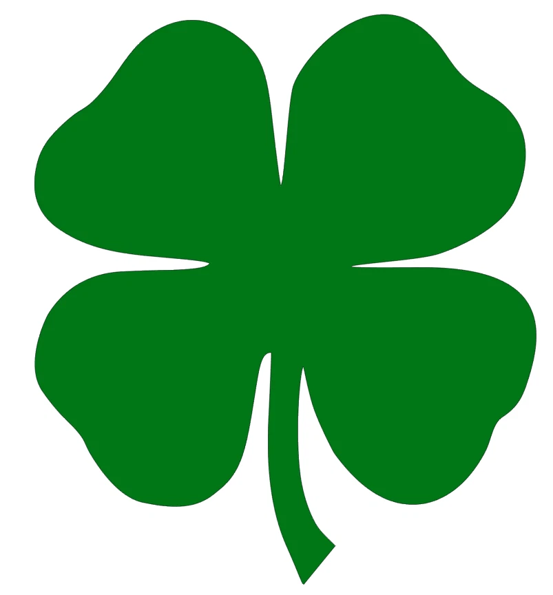 4 Leaf Clover Vinyl Decal, Bumper Sticker, Lucky, Shamrock, Irish, Four,  Window