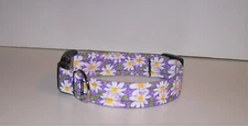 Wet Nose Designs Daisy Daisy Floral Dog Collar Flowers Spring Springtime Purple