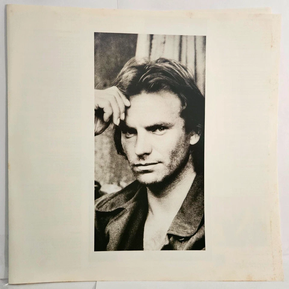 STING ...Nothing Like The Sun (Vinyl) 2xLP Record 1987 JAPAN 1st PRESS & INSERTS - Image 4 of 4