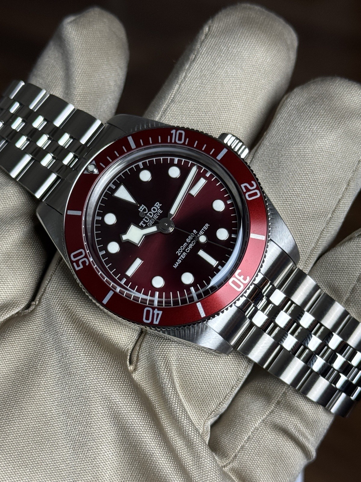 2025 Tudor Black Bay 58 Burgundy 39mm 5-Link Red M7939A1A0RU-0001