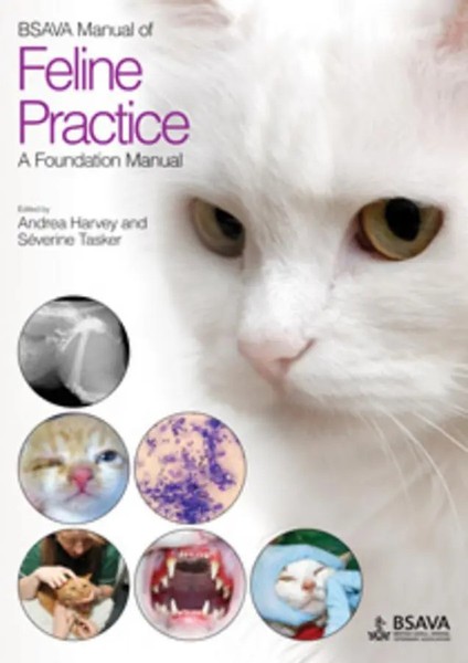 Andrea Harvey (U. A.) | Bsava Manual Of Feline Practice | Taschenbuch | Englisch-image