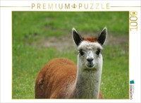 Calvendo Puzzle Red And White Alpaca Foal | 1000 Pieces, Finished Size 25.2 × 18