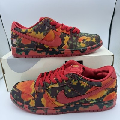 Nike Dunk Low Premium SB WOO QS Size 11 Brand New DS FZ1291-600 Gym Red