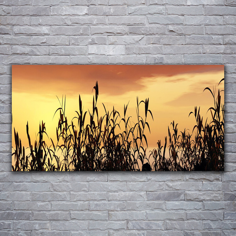 Impression sur verre acrylique floral 120x60 cm pour une ambiance nature et zen