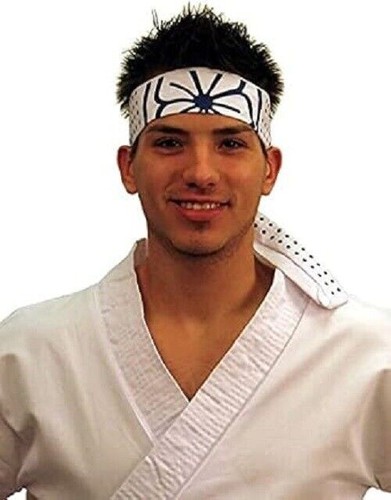Karate Headband Mr Myagi Daniel Cobra Headband Halloween Costume Cosplay - Picture 7 of 12