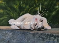 Fine Art Original Oil Painting On Canvas "The Playful Cat" By Colin Coles 