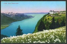 Palace Hotel Caux Switzerland postcard 1910s