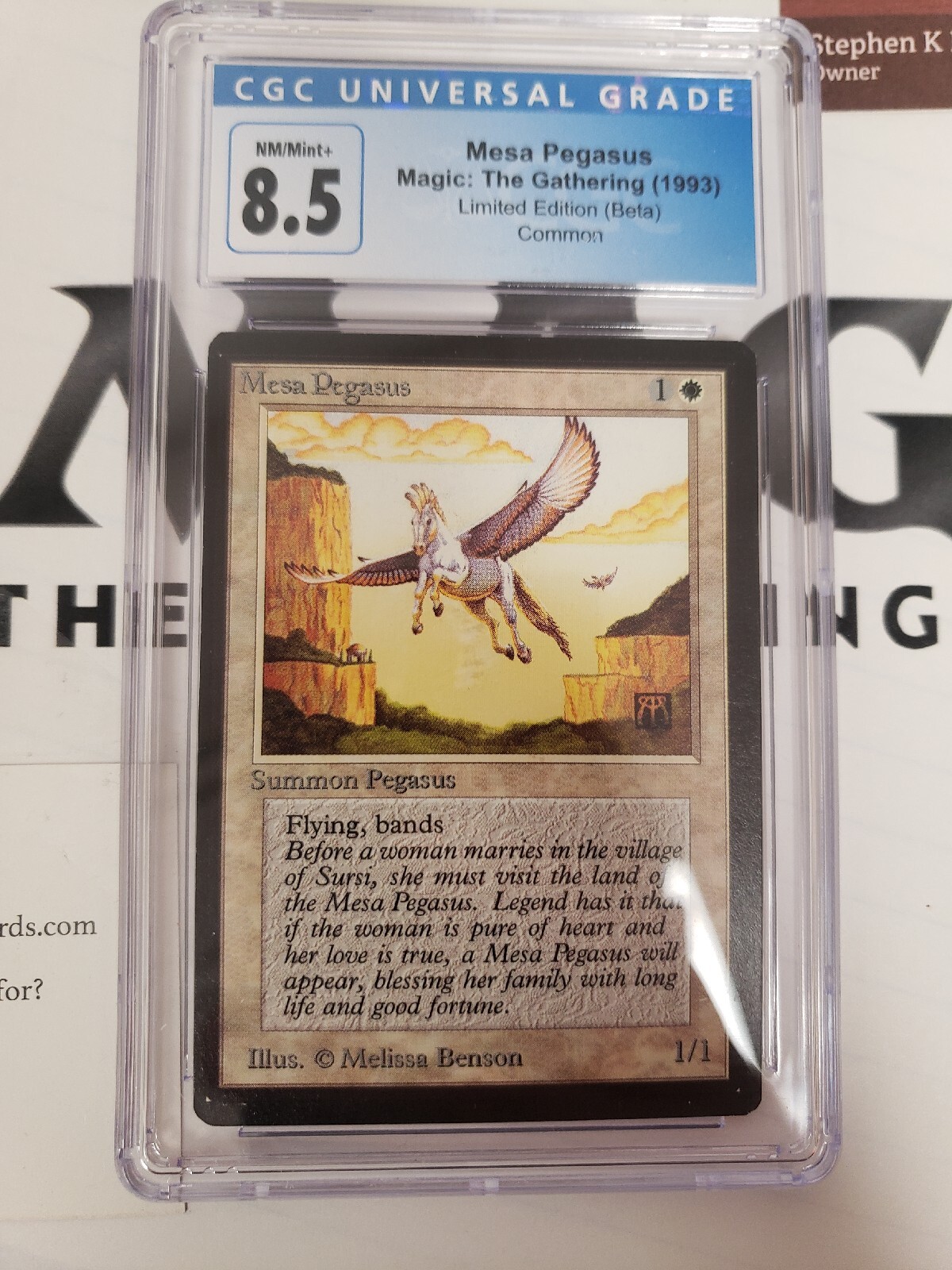 MTG Beta Mesa Pegasus CGC 8.5 NM/M