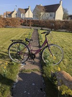 Apollo  ladies hybrid bike New Purple 