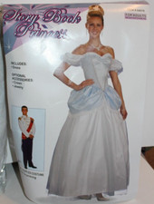 Fairy Tale Fashion Storybook Princess, Cinderella Costume, Adult Woman Halloween