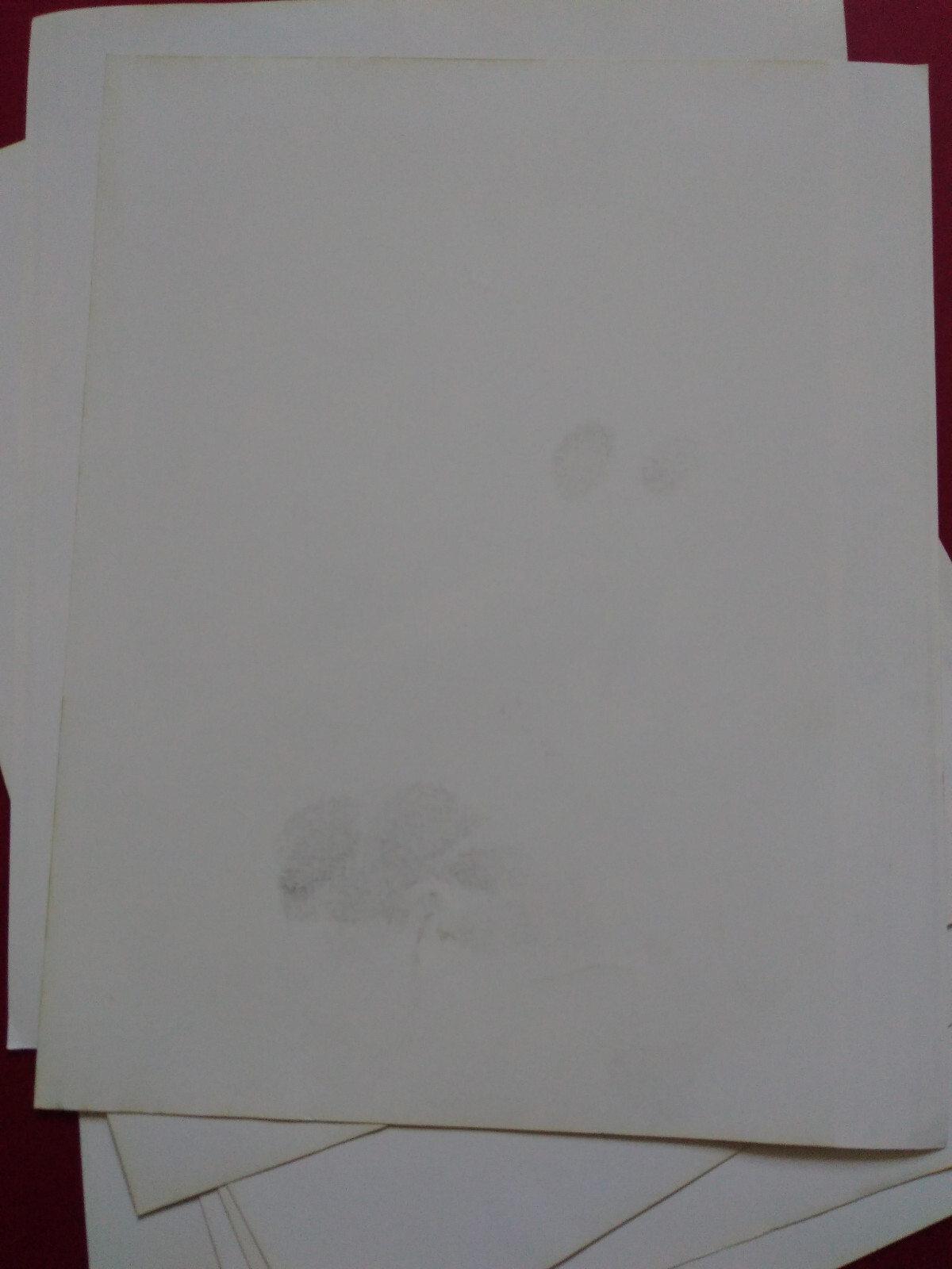 Picture 9 of 10