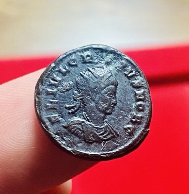 Crispus Caesar AE Follis Ticinum AD 319, RADIATE CROWN, VICTORIAE, RARE-R3, G-VG