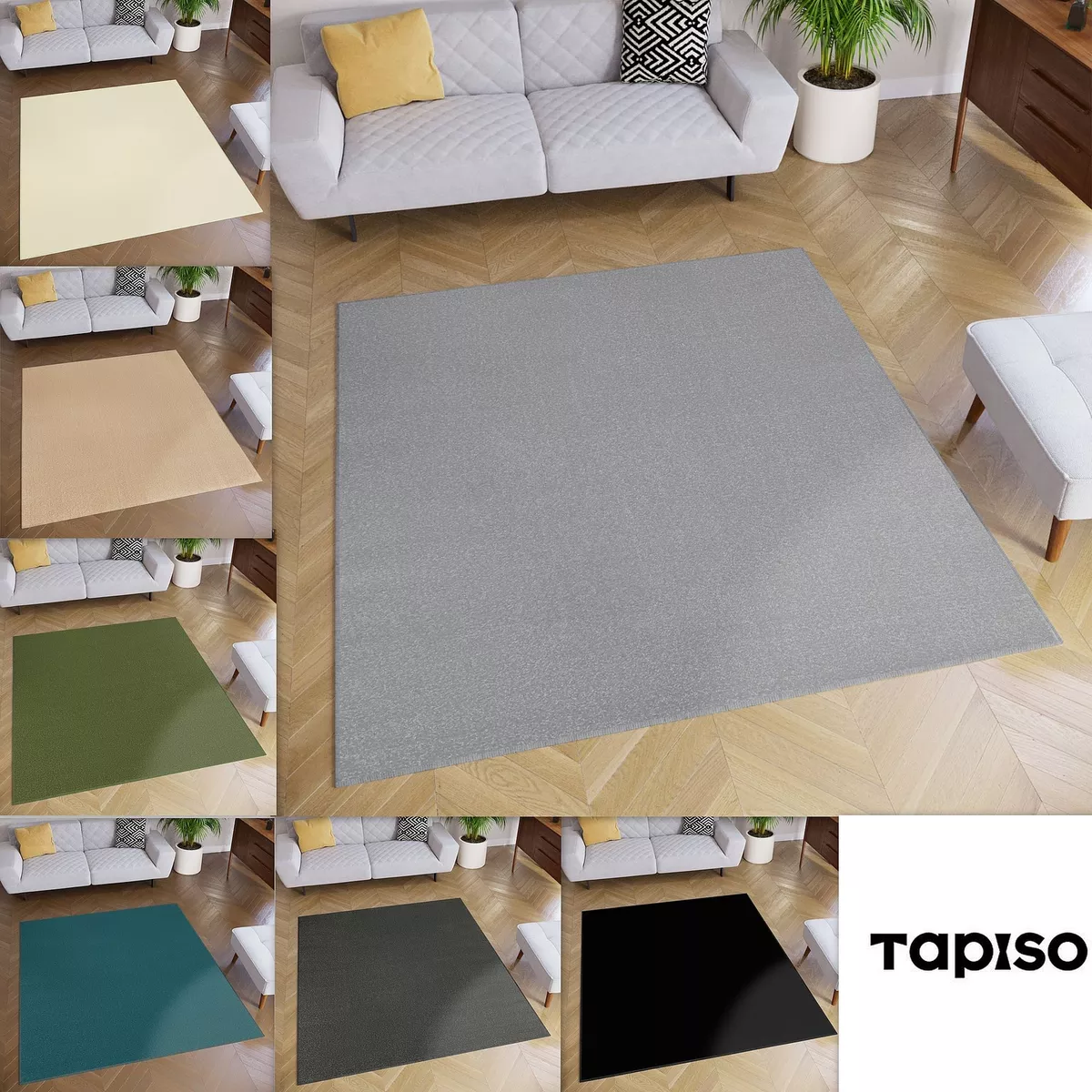 Square Area Rug Indoor Outdoor Plain Living Room Rugs Modern