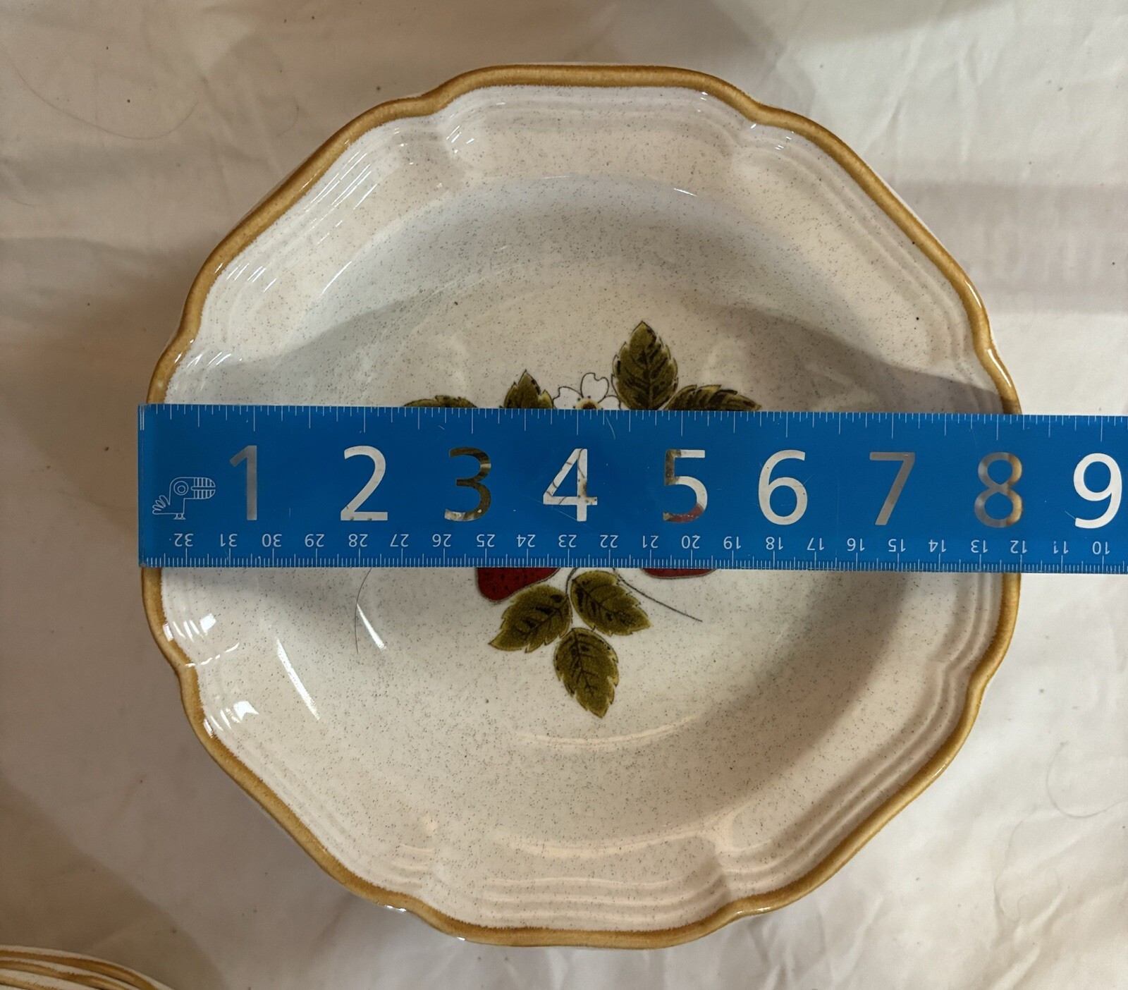 Picture 5 of 5