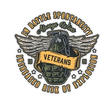 In Battle Spontaneity Increased Risk of Explosion Veteran Bumper Sticker 5"
