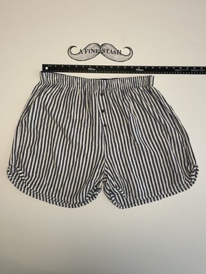 Free People Intimately Bedtime Seersucker Boxer Shorts Striped Blue White L