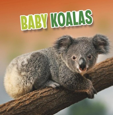 Baby Koalas by Martha E.H. Rustad Paperback Book
