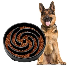Jasgood Slow Feeder Dogs Bowl for Large Dogs,anti-gulping Pet Slower Food Feedin