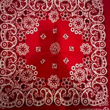 VTG Hav-A-Hank Red Paisley Bandana Handkerchief Western Family USA RN15187
