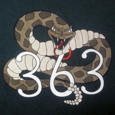 Ma-I-Shu Oa Lodge 363 lrg tee Snake River rattlesnake old-school T shirt BSA