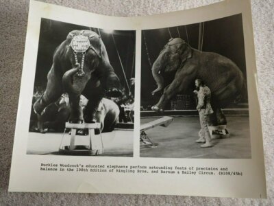 Buckles Woodcock's 108th edition Ringling Brothers B&B CIRCUS Photo B&W  8 X 10''