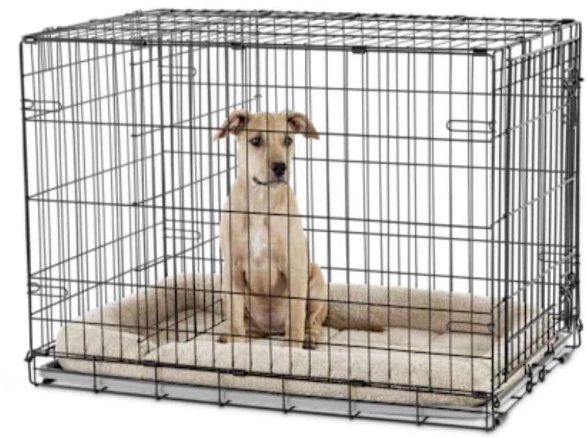 How Do You Clean A Dog Crate