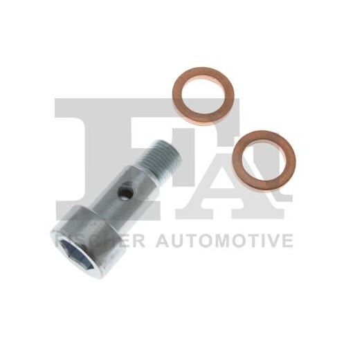 1x Hohlschraube, Lader FA1 989-10-002.021 passend für CITROËN FORD PEUGEOT - Bild 1 von 1