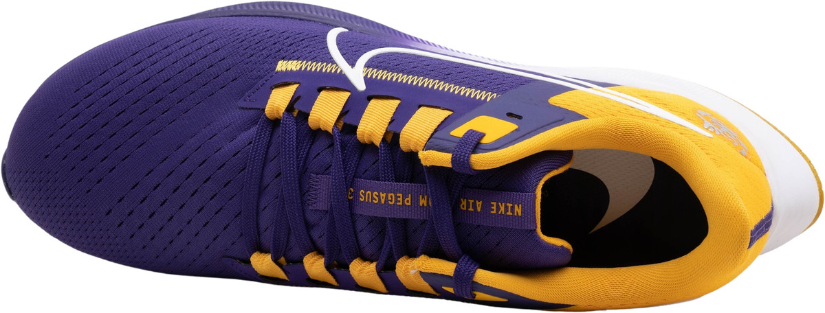 nike air pegasus lsu