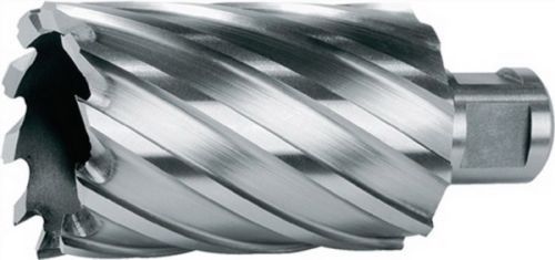 Ruko 108.519 Punta HSS 19mm x 50mm: Carotaggio Professionale Weldon