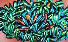 2000 Drilled Green Blue Jewel Beetle Elytra Wings Craft Jewelry Necklace Design