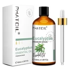 100ml Pure Eucalyptus Essential Oils Aromatherapy Essential Oil For Diffusers