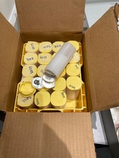 Tube of silver maples 2011