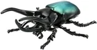 Takara Tomy Ania AS-39 Caucasus Stag Beetle Insect Toy 3+years old and up F/S