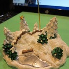 Picture 5 of 8