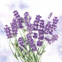 20 Servietten Lavender Oasis Strauß Lavendel Blumen Garten Natur Lila 33X33Cm
