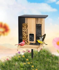 Birdfy Feeder Bamboo - Smart Bird Feeder with Eco-friendly Material