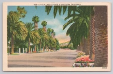 Palm Lined Avenue Southern California CA Unp Linen Postcard