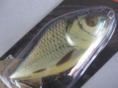 Salmo Slider SD12F Real Shiner 12cm 60g New Lure