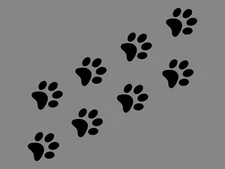 DOG PAWS 8 PCS PACK Puppy Animal Print Vinyl Decal Waterproof Car Sticker Cat