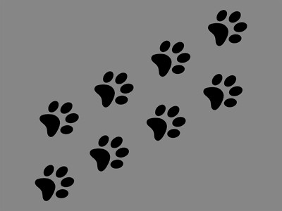 DOG PAWS 8 PCS PACK Puppy Animal Print Vinyl Decal Waterproof Car Sticker Cat