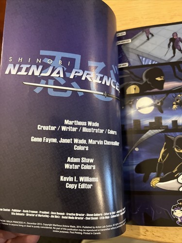 Shinobi Ninja Princess Softcover - Picture 5 of 5