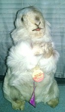 Vintage Steiff Molly Piff Groundhog MINT