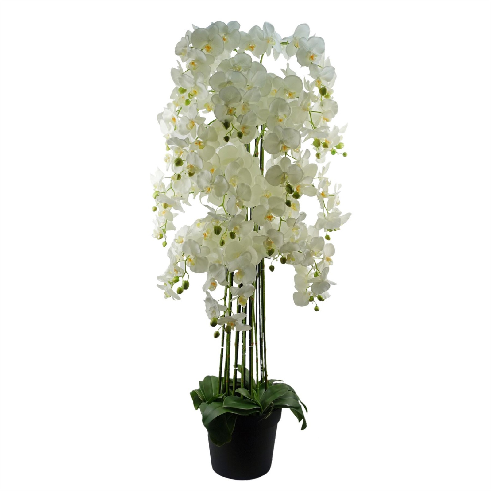 Botanik Giant White Orchid Artificial Plant 5ft - Image 3
