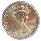 1995 RAW ASE Dollar .999 FINE Silver UNC Natural discoloration